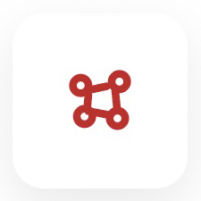 Unique brain-wiring diagram